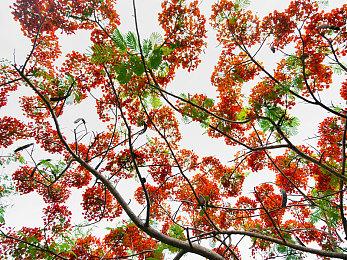 帕斯亚时光系列新作《时光3：永耀之境》将开启众筹