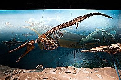 动视暴雪：目前越来越难招到人才和挽留老员工