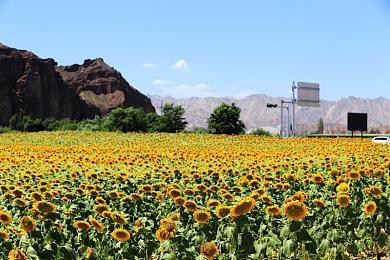 原来封面图是真的！老外玩家才发现Switch手柄座可以立起来